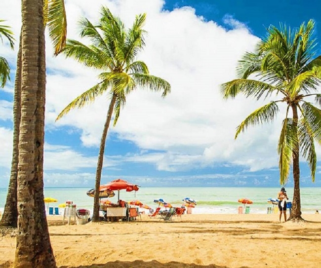 Recife: Destino de Ensueo en el Nordeste Brasileo